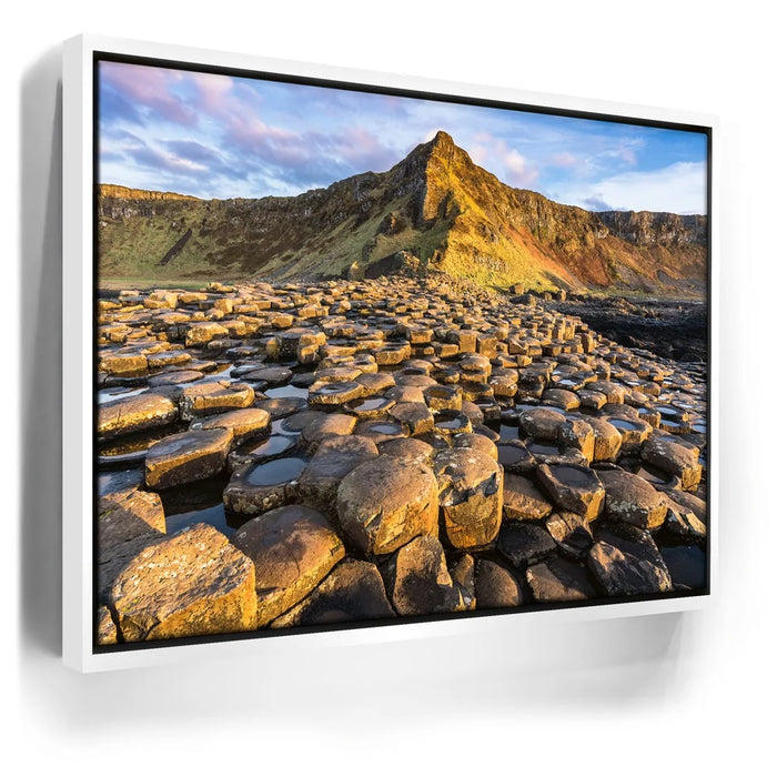 Featured image 6 for Giant