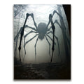 Featured image 1 for Giant Spider