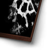 Thumbnail image 14 for Giraffe - Watercolor - Black and White