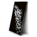 Thumbnail image 2 for Giraffe - Watercolor - Black and White