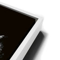 Thumbnail image 13 for Giraffe - Watercolor - Black and White