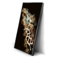 Thumbnail image 2 for Giraffe - Watercolor