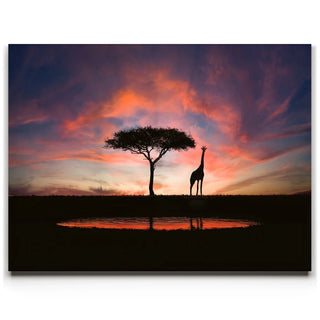 Giraffe Sunset Reflections Tanzania