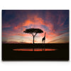 Featured image 1 for Giraffe Sunset Reflections Tanzania