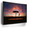 Featured image 5 for Giraffe Sunset Reflections Tanzania