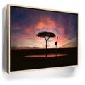 Featured image 9 for Giraffe Sunset Reflections Tanzania