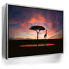 Featured image 8 for Giraffe Sunset Reflections Tanzania