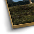 Thumbnail image 12 for Glacier Ram
