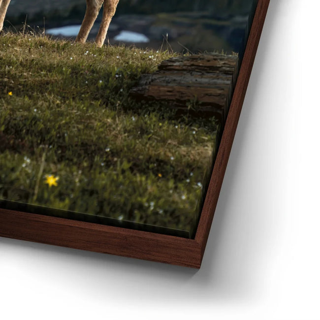 Featured image 14 for Glacier Ram