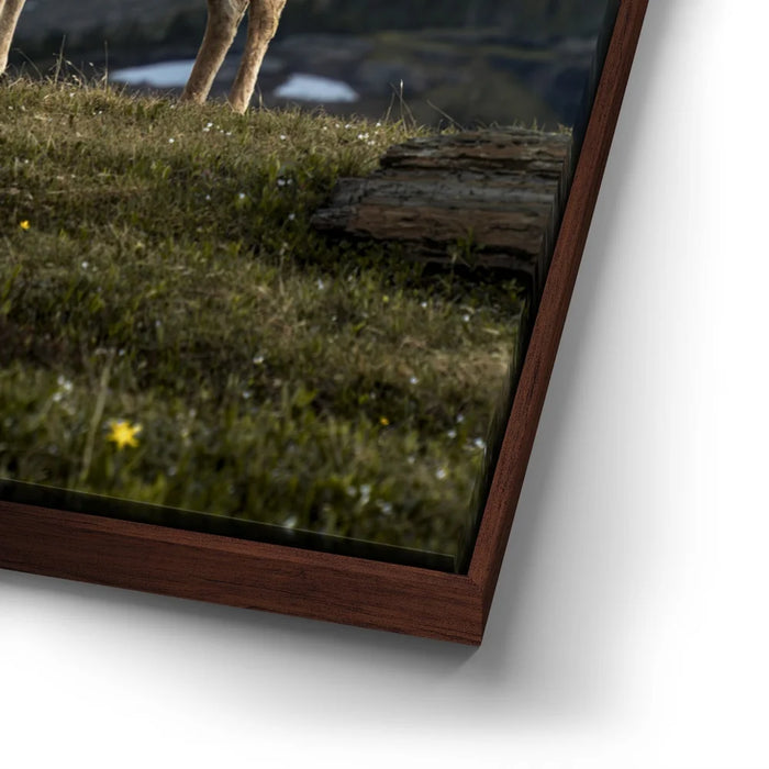 Featured image 14 for Glacier Ram