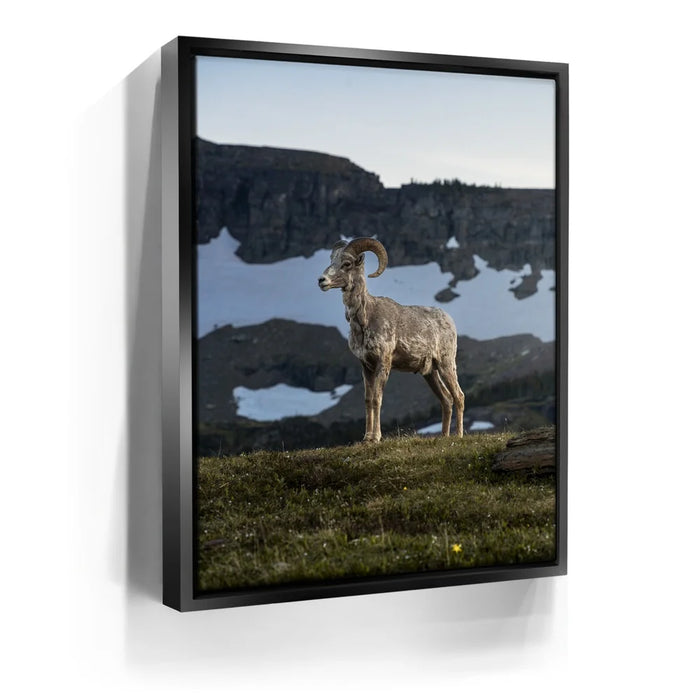 Featured image 5 for Glacier Ram