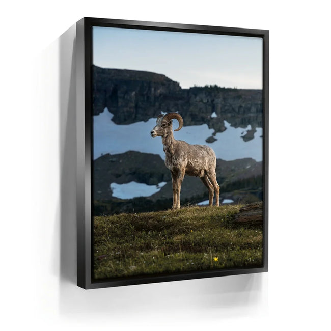Featured image 5 for Glacier Ram