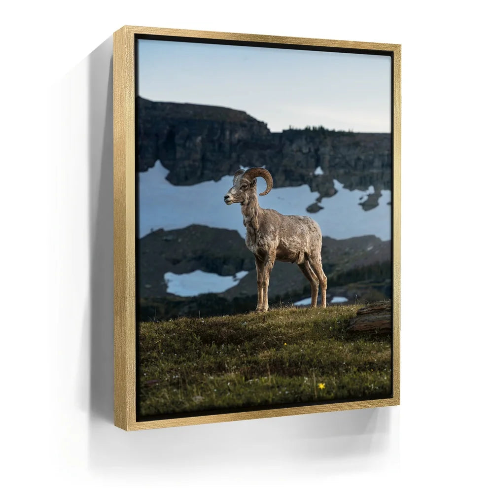 Featured image 7 for Glacier Ram