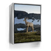 Featured image 8 for Glacier Ram