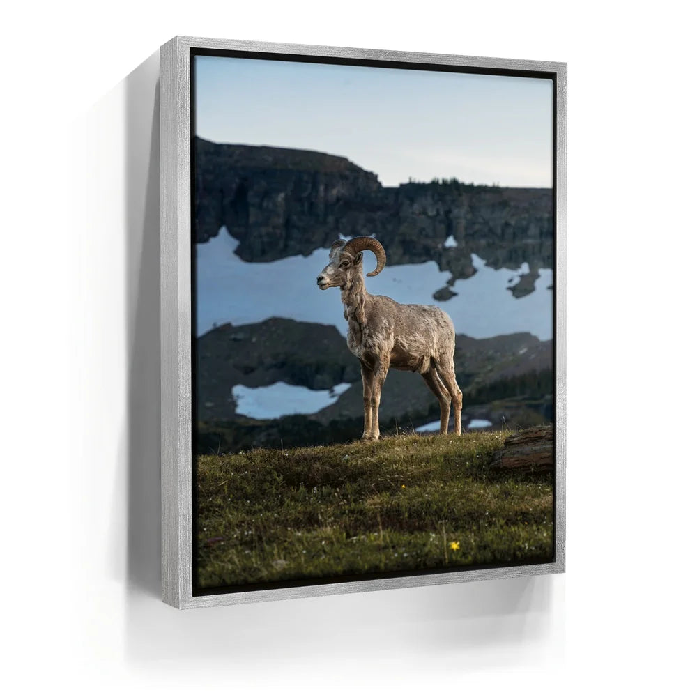 Featured image 8 for Glacier Ram