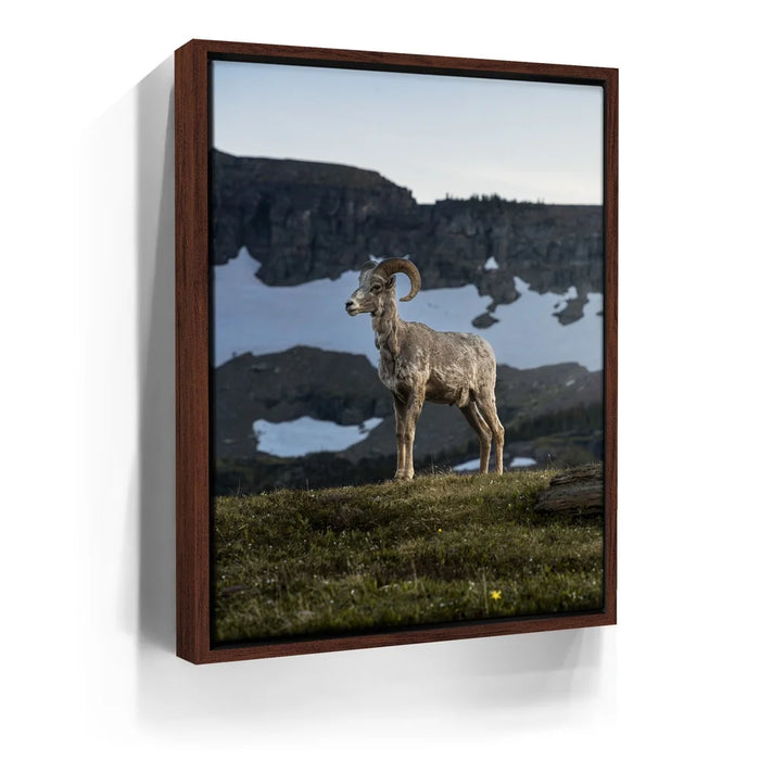 Featured image 10 for Glacier Ram