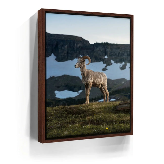 Featured image 10 for Glacier Ram