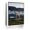 Featured image 6 for Glacier Ram