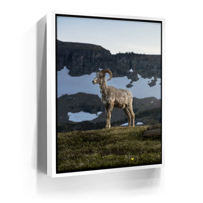 Featured image 6 for Glacier Ram