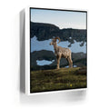 Featured image 6 for Glacier Ram