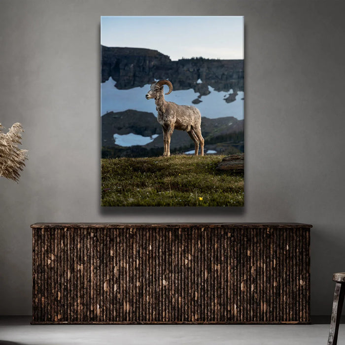 Featured image 2 for Glacier Ram