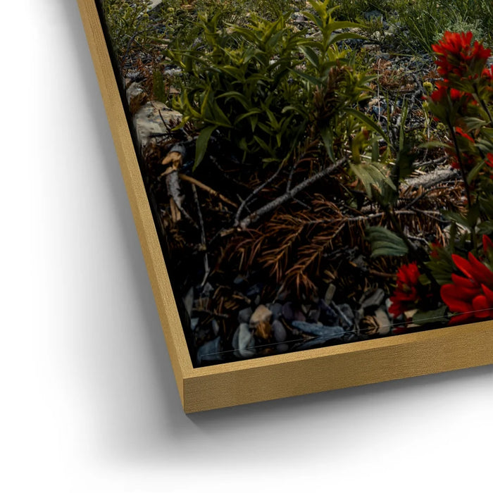 Featured image 12 for Going to the Sun Road, Glacier National Park