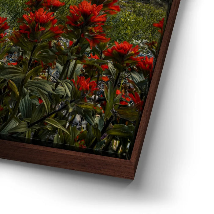 Featured image 14 for Going to the Sun Road, Glacier National Park