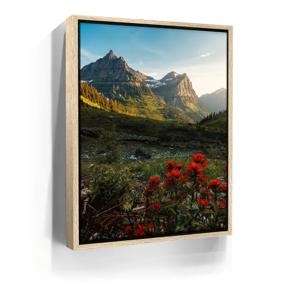 Featured image 9 for Going to the Sun Road, Glacier National Park