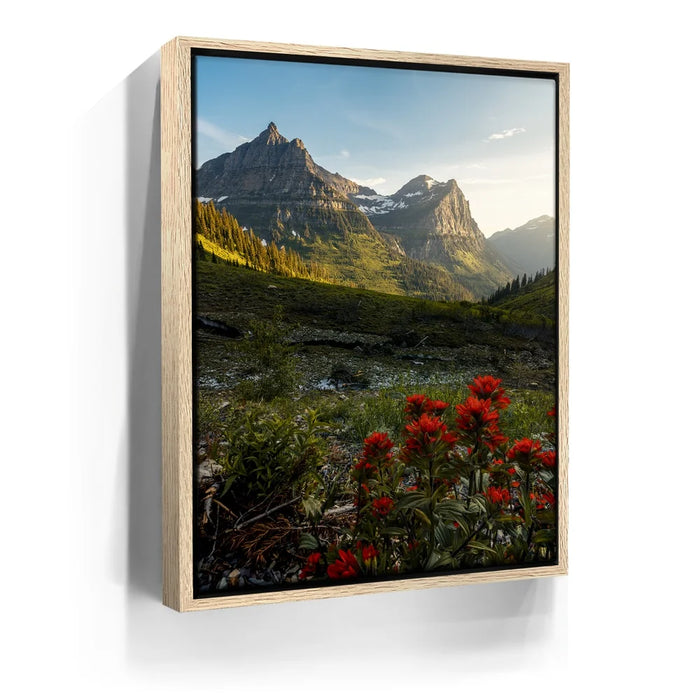 Featured image 9 for Going to the Sun Road, Glacier National Park