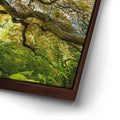 Thumbnail image 14 for Golden Canopy