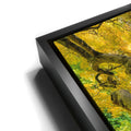 Thumbnail image 11 for Golden Canopy