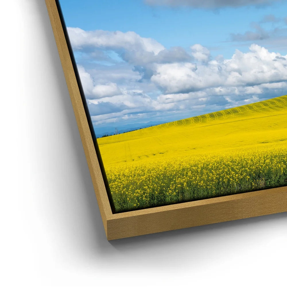 Featured image 12 for Golden Dream