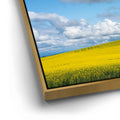 Thumbnail image 12 for Golden Dream