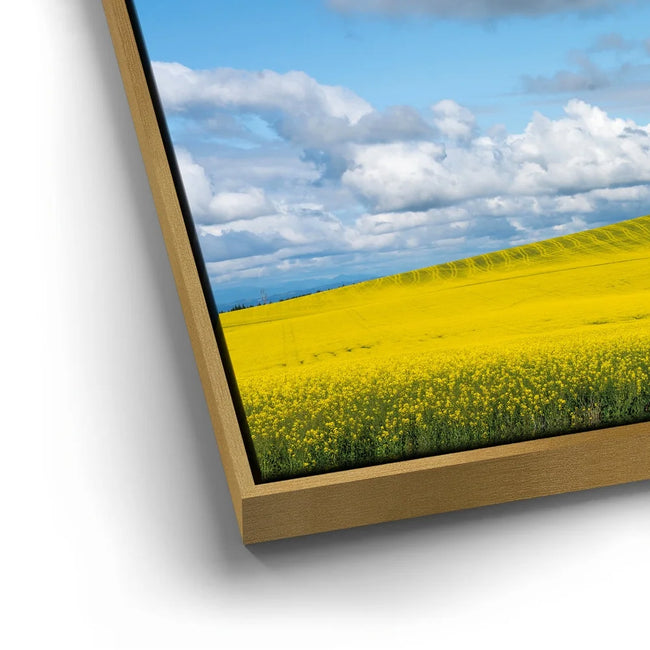 Featured image 12 for Golden Dream