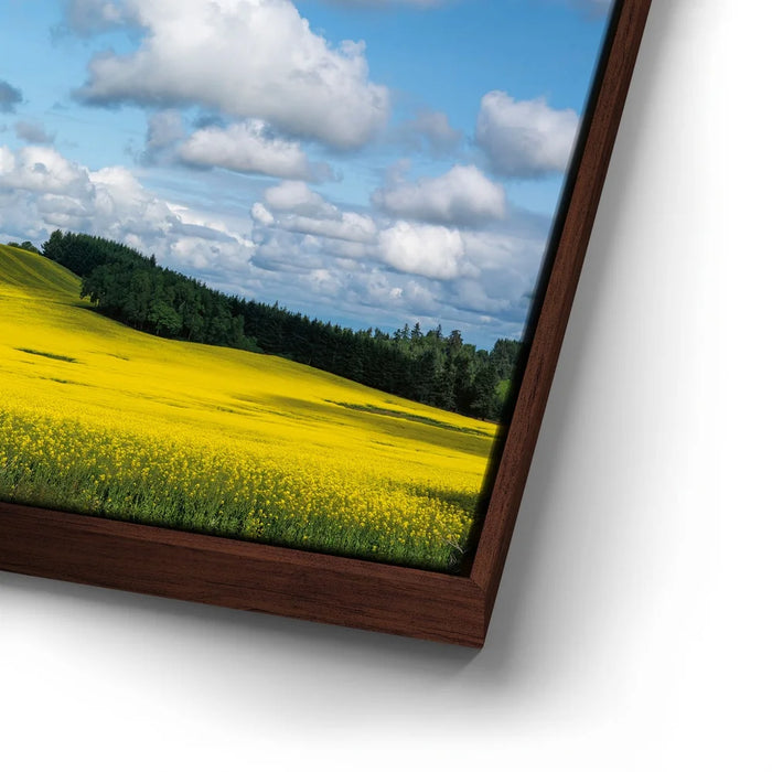 Featured image 14 for Golden Dream