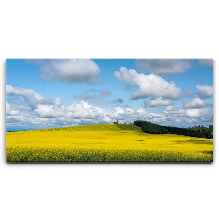 Featured image 1 for Golden Dream