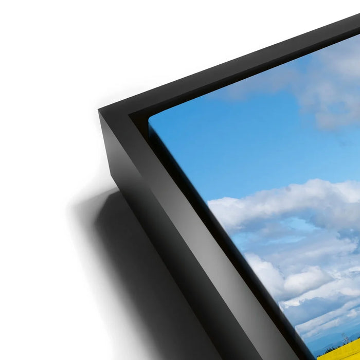 Featured image 11 for Golden Dream