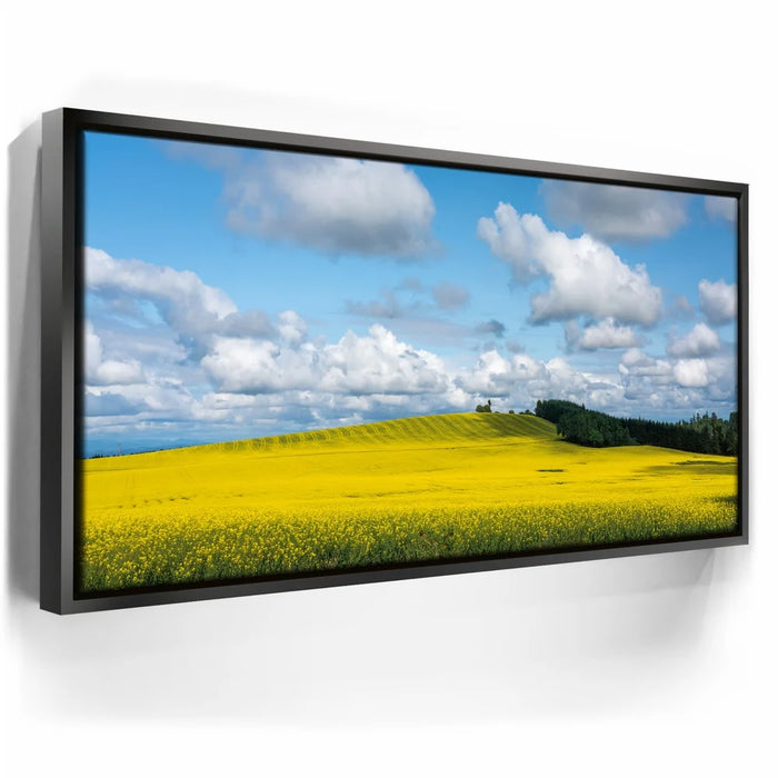 Featured image 5 for Golden Dream