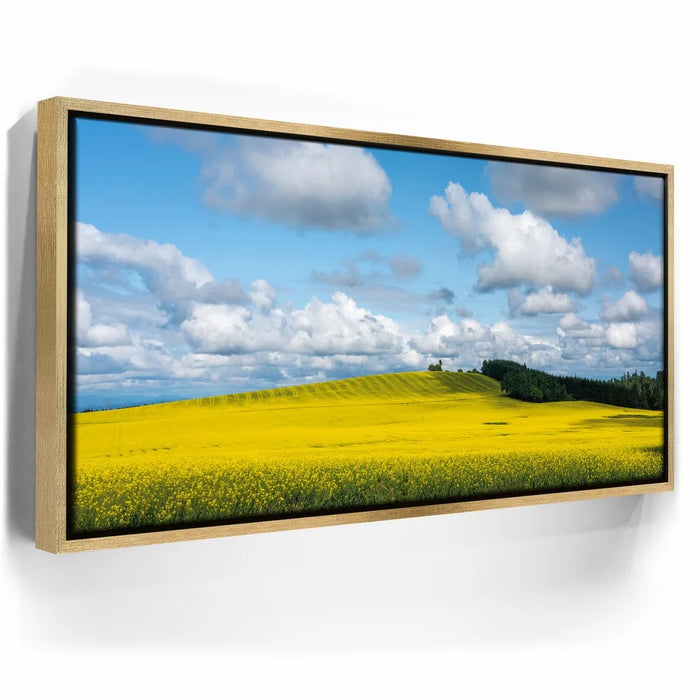 Featured image 7 for Golden Dream