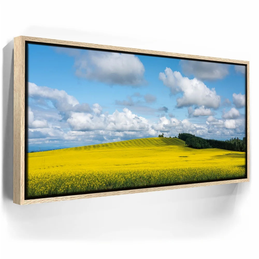 Featured image 9 for Golden Dream