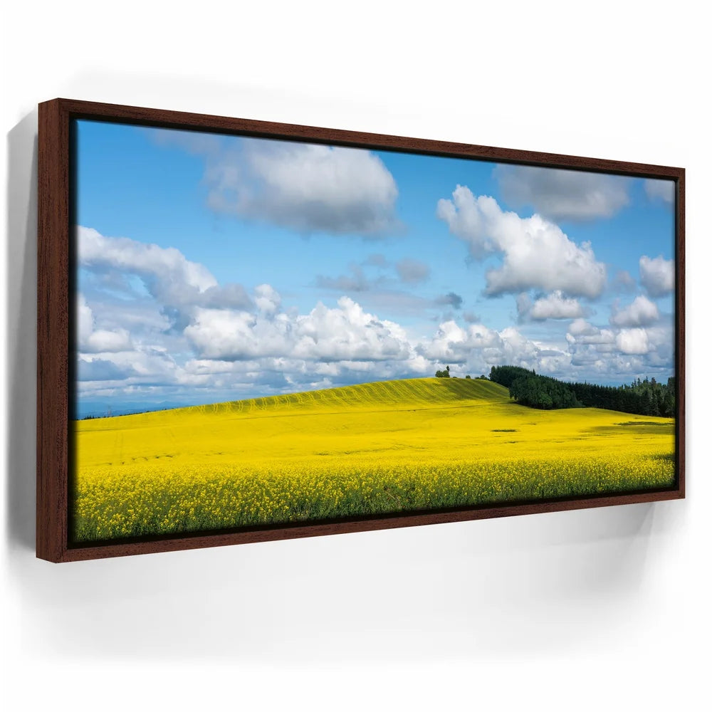 Featured image 10 for Golden Dream