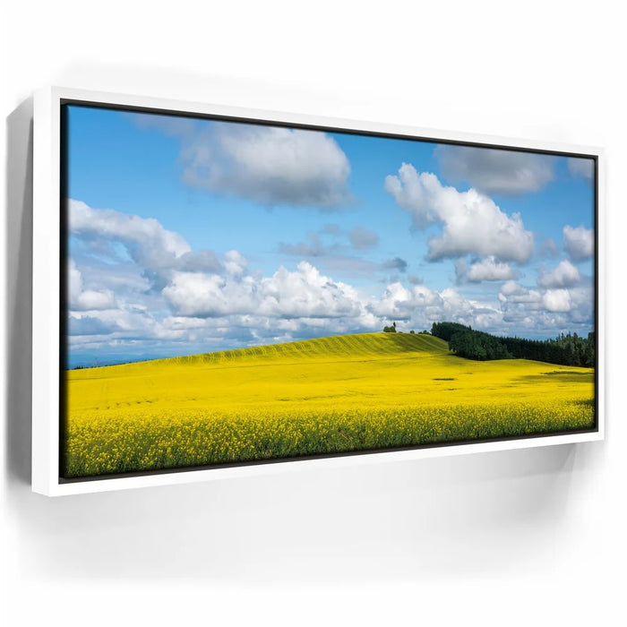 Featured image 6 for Golden Dream