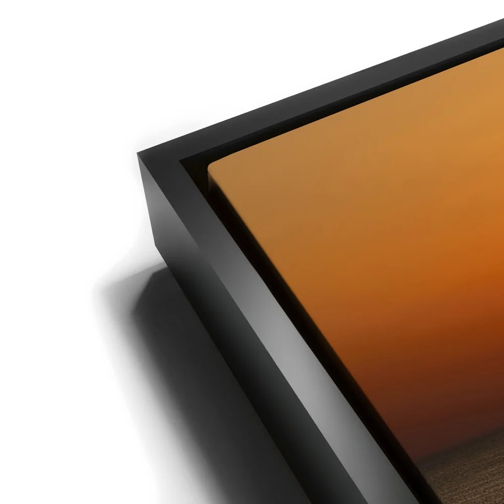 Featured image 11 for Golden Horizon