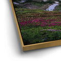 Thumbnail image 12 for Golden hour at Glacier National Park