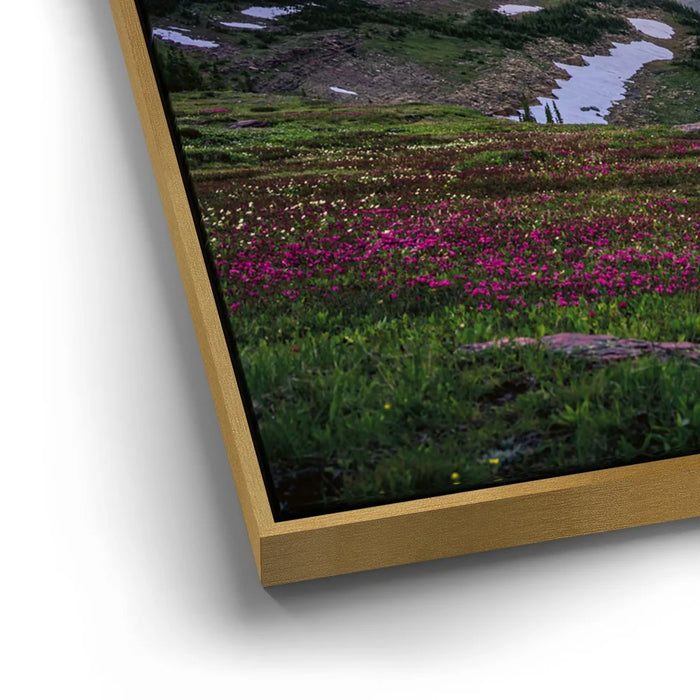 Featured image 12 for Golden hour at Glacier National Park