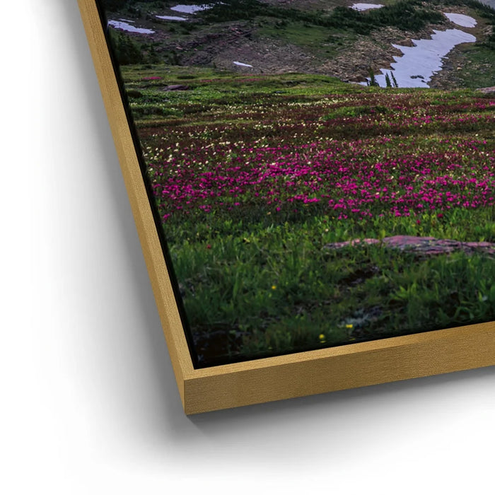 Featured image 12 for Golden hour at Glacier National Park