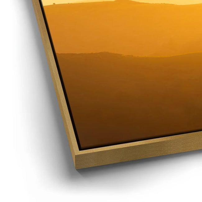 Featured image 12 for Golden Layers - Mt. Tamalpais