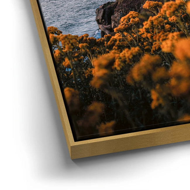 Featured image 12 for Golden Path to the Golden Gate Bridge