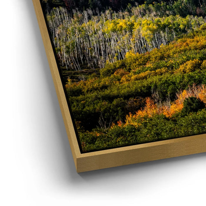 Featured image 12 for Golden Pocket