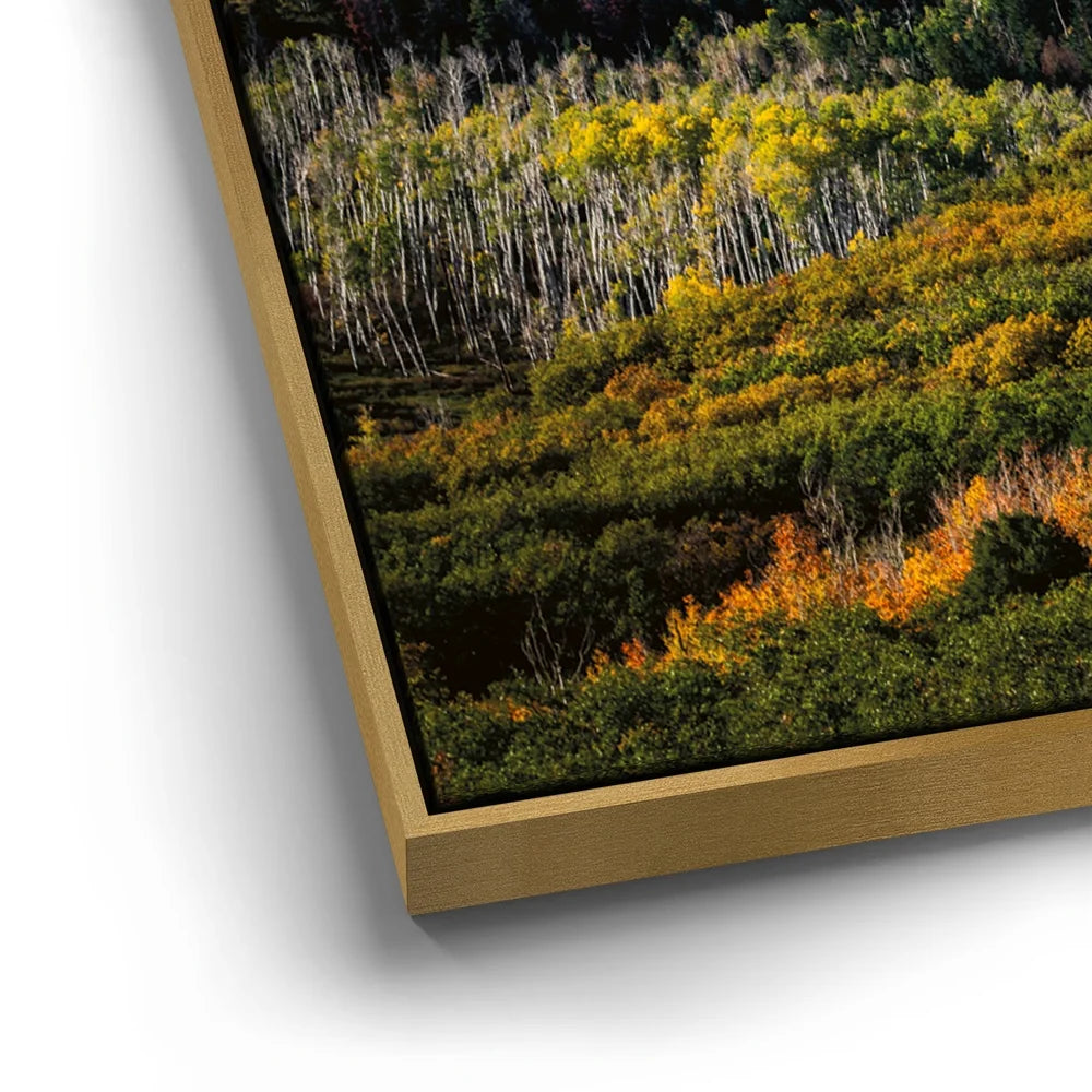 Featured image 12 for Golden Pocket
